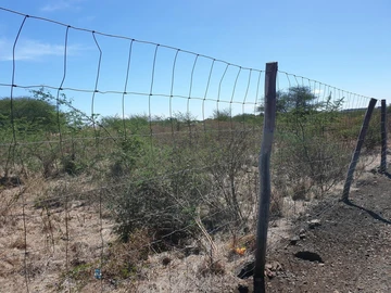Residential Land