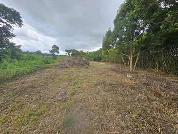 Residential Land