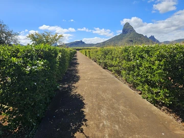 Residential Land