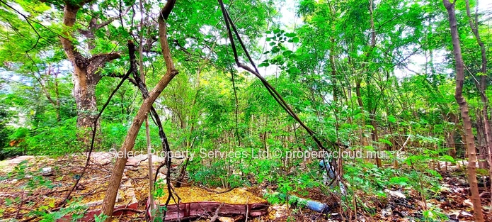 For Sale, Land Route Abattoir, Port Louis