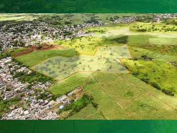 Agricultural Land