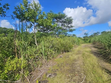Agricultural Land