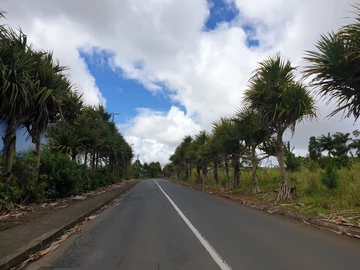 Residential Land