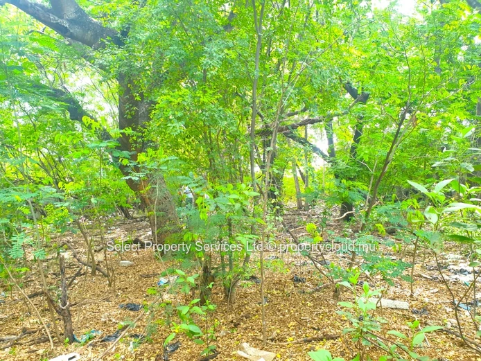 For Sale, Land Route Abattoir, Port Louis