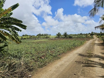Agricultural Land