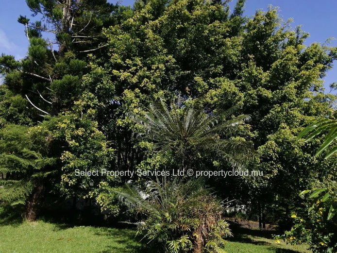 House for Sale in Floreal