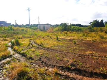 Land