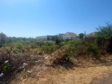 Land