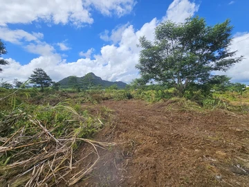 Agricultural Land