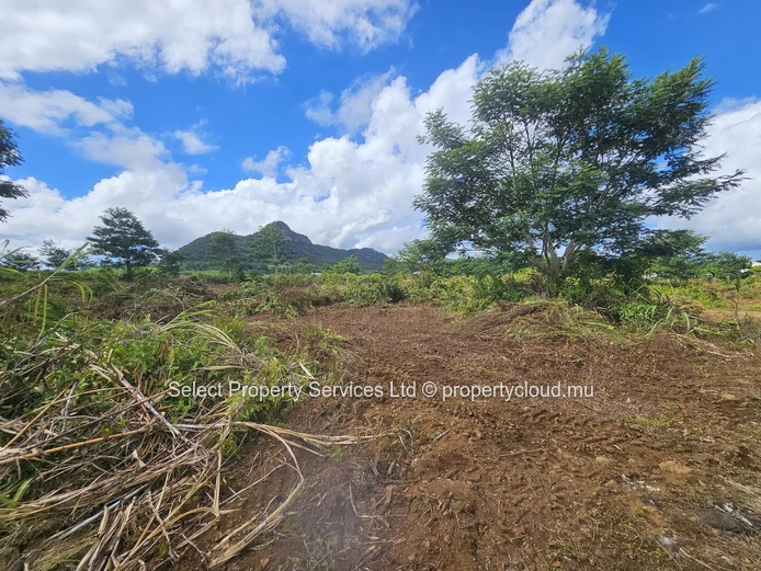 Terrain Agricole a vendre (Morcellement) - Montagne Blanche