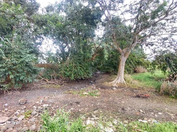 Residential Land