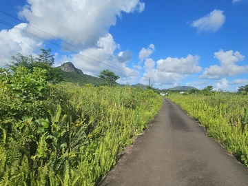 Agricultural Land