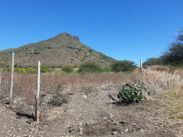 Residential Land