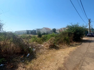 Land