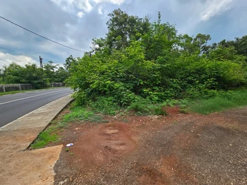Residential Land