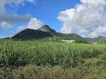 Agricultural Land