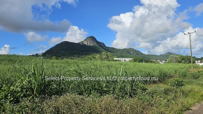 Terrain Agricole a vendre (Morcellement) - Montagne Blanche