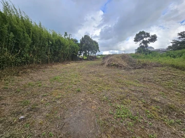 Residential Land