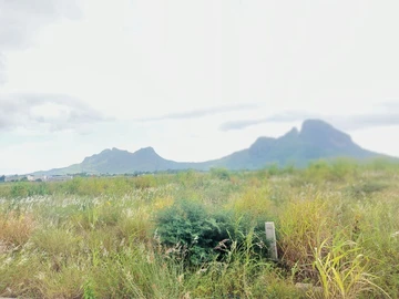 Residential Land