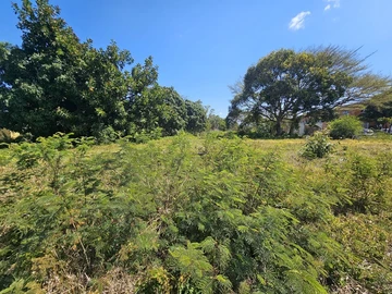 Residential Land
