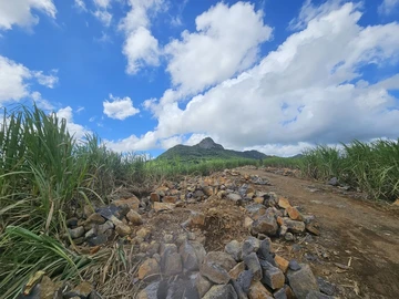Agricultural Land