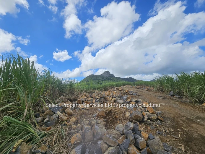 Terrain Agricole a vendre (Morcellement) - Montagne Blanche