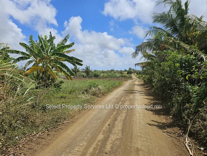 2 Plot of Agricultural Land for Sale - Riviere du Rempart