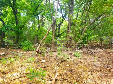 Residential Land