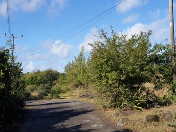 Residential Land