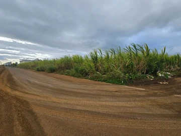 Land