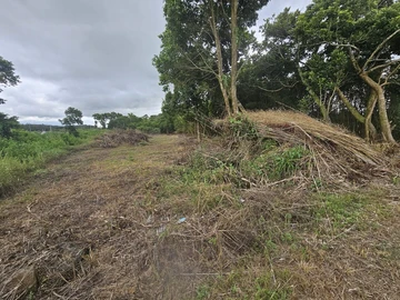 Residential Land