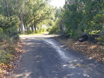 Residential Land