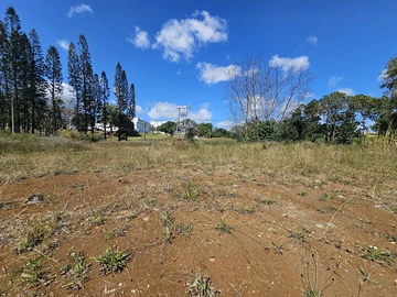 Residential Land