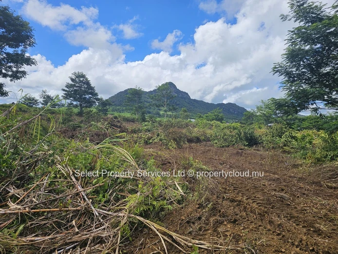 Terrain Agricole a vendre (Morcellement) - Montagne Blanche