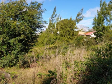 Residential Land