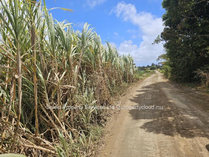 2 Plot of Agricultural Land for Sale - Riviere du Rempart