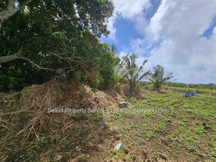 2 Plot of Agricultural Land for Sale - Riviere du Rempart