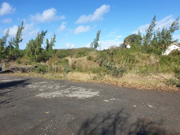 Residential Land