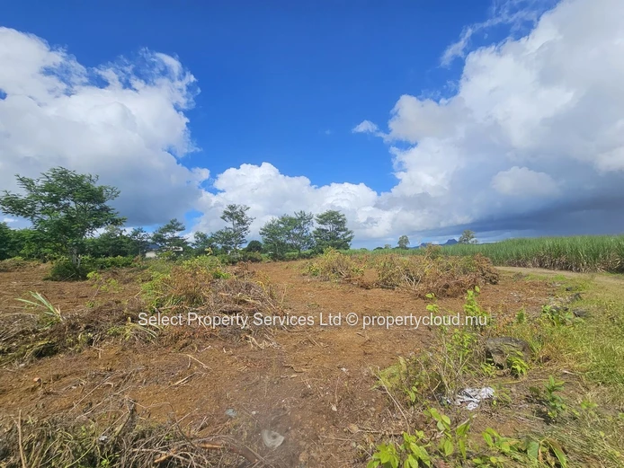 Terrain Agricole a vendre (Morcellement) - Montagne Blanche