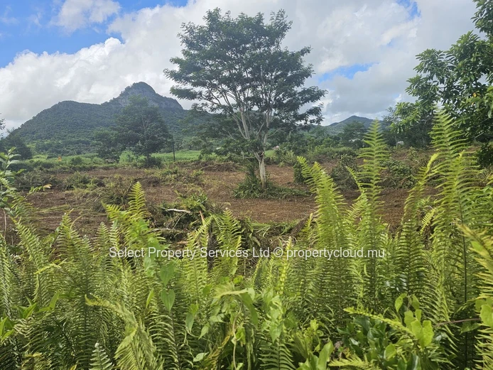 Terrain Agricole a vendre (Morcellement) - Montagne Blanche