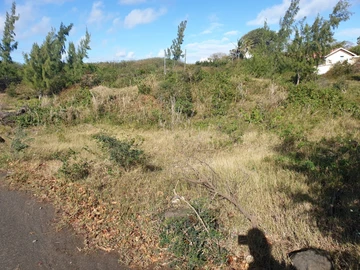 Residential Land