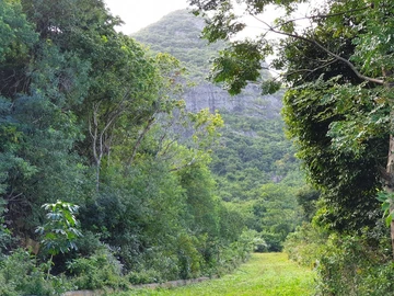 Residential Land