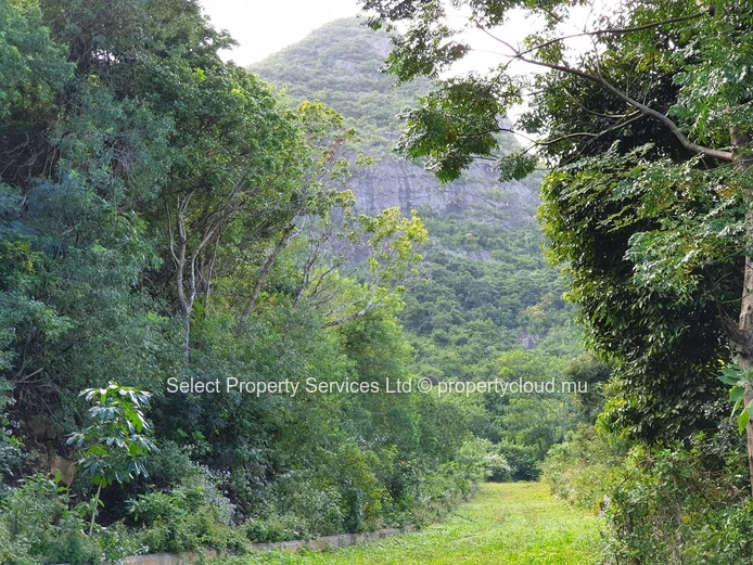 Terrain résidentiel à vendre à Montagne Ory