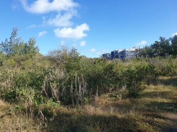 Residential Land
