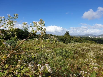 Residential Land